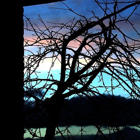 Podere di Belforte Bagno a Ripoli Esterno foto