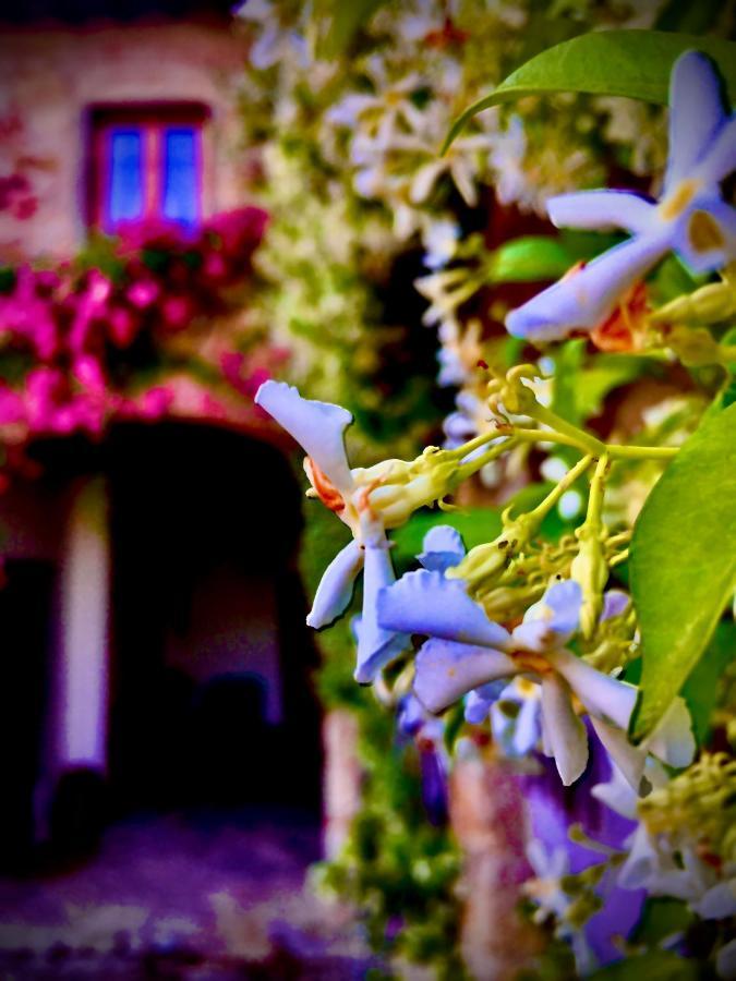 Podere di Belforte Bagno a Ripoli Esterno foto