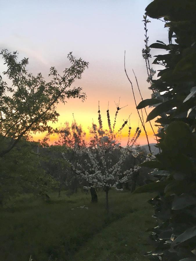 Podere di Belforte Bagno a Ripoli Esterno foto