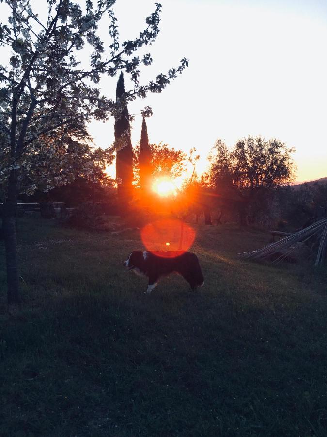Podere di Belforte Bagno a Ripoli Esterno foto