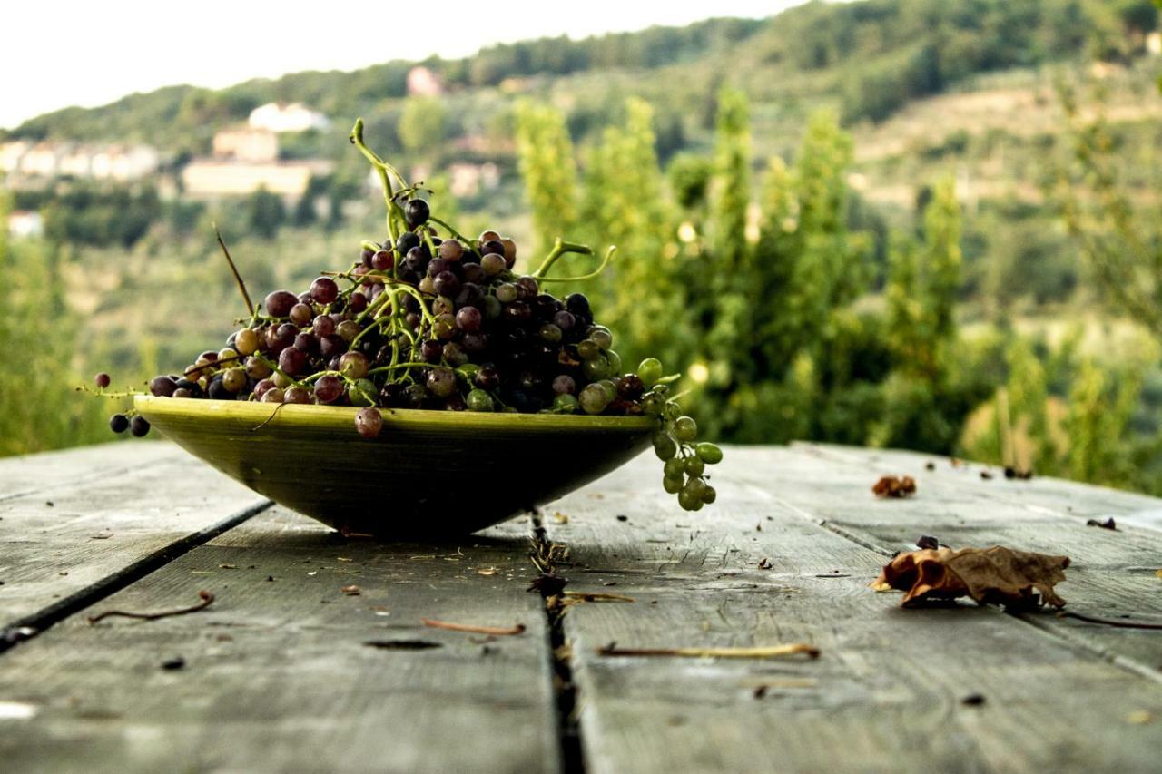 Podere di Belforte Bagno a Ripoli Esterno foto
