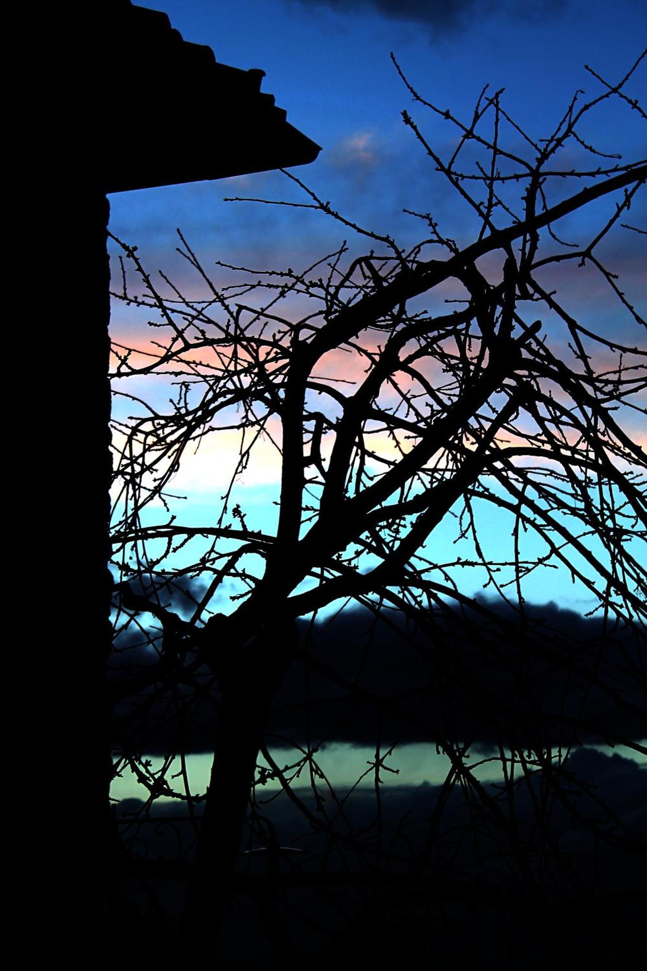 Podere di Belforte Bagno a Ripoli Esterno foto